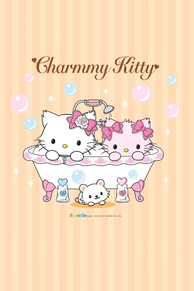 泰迪狗狗能不能吃芒果?